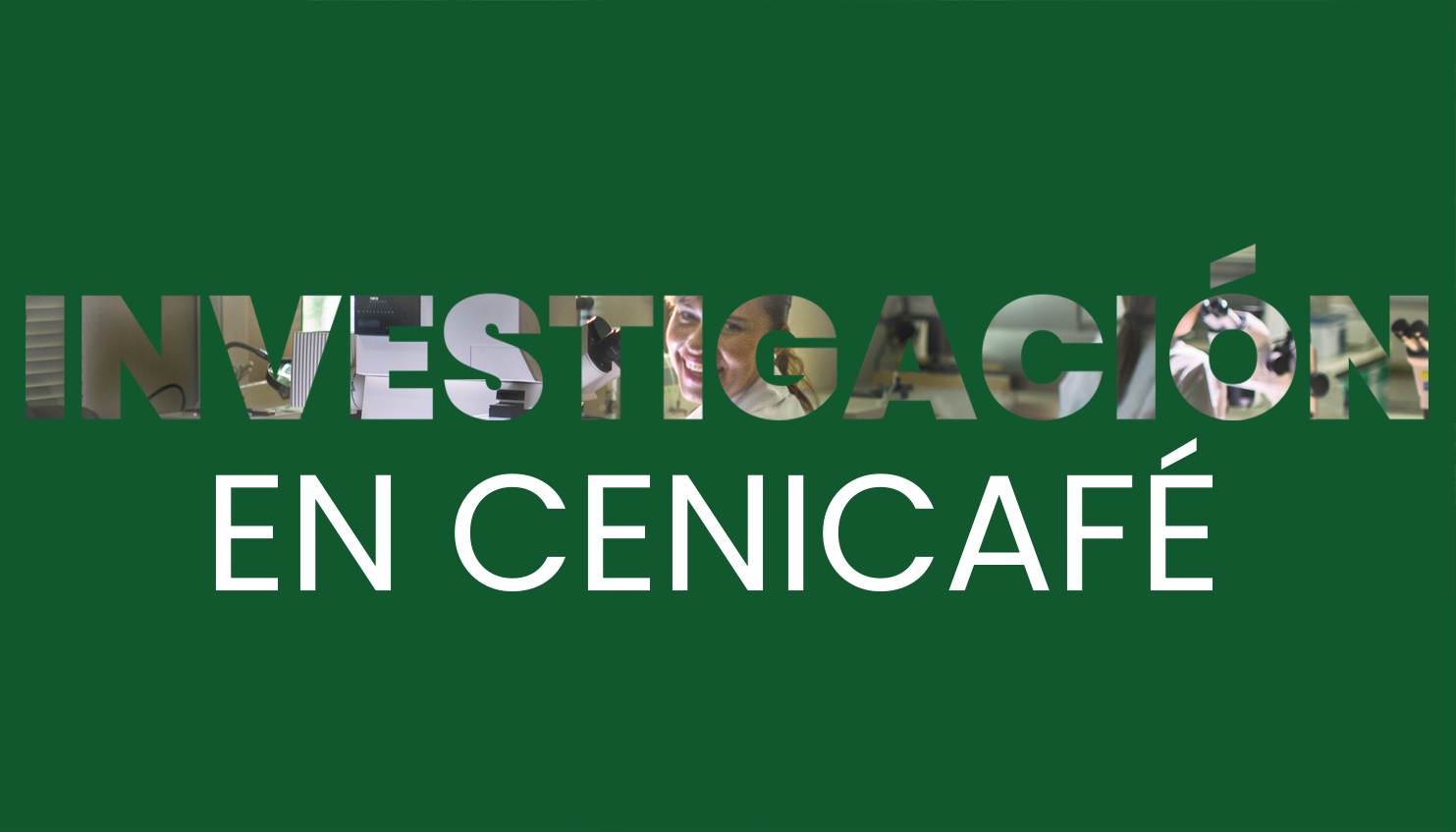 El café inicia su viaje en Cenicafé, pionero global en investigación y formas de cultivo.