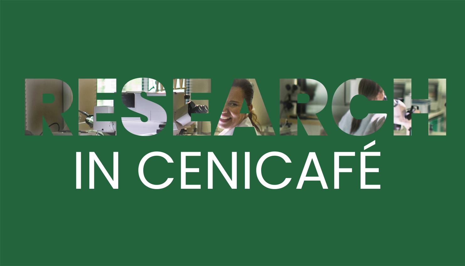 Coffee begins its journey at Cenicafé, a global pioneer in research and cultivation methods.