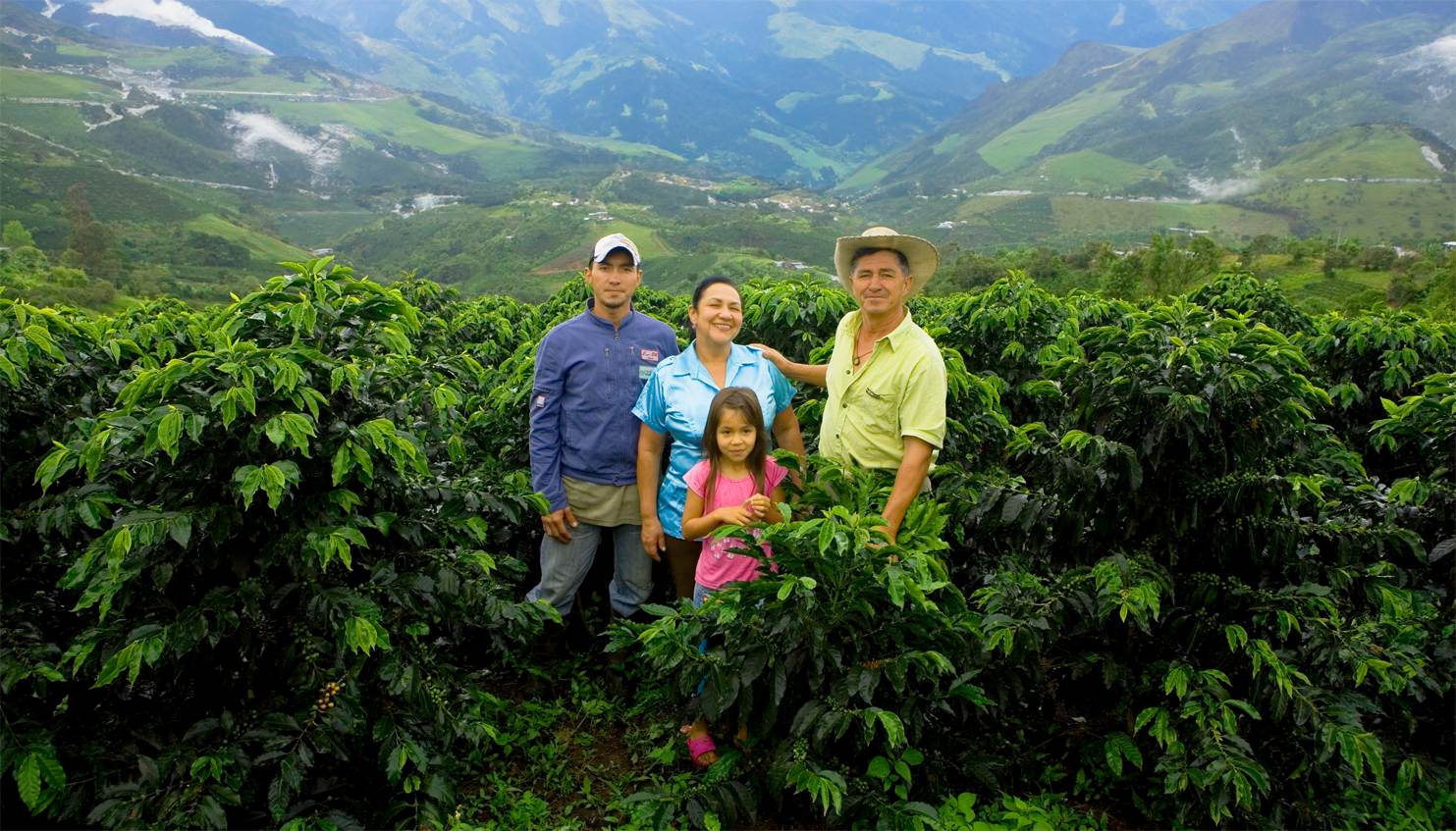 540,000 familias colombianas cultivan con pasión y dedicación, respaldadas por la Federación Nacional de Cafeteros.